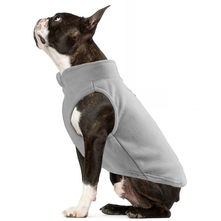 Boston terrier puppy clothes hot sale