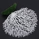 thumbnail image 3 of Plantas De Coral Artificiales, Decoración De Acuario Bajo El Agua, Con Base De Resina, Crea Un Ambiente De Vida, Adecuado Para Agua Dulce Y Salada, Adhesión Para Bacterias, 3 of 7