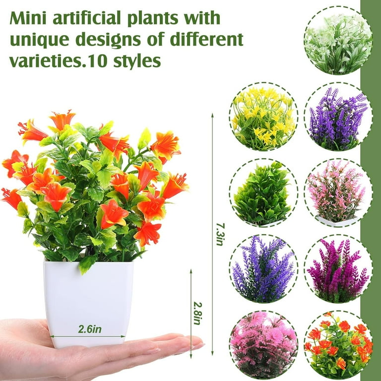 Small Fake Plants Mini Artificial Potted Plants Indoor Plastic Artificial  Plants Aesthetic Eucalyptus Greenery Decor for Office Shelves Living Room  Bathroom Bedroom (Fresh Style, 10 Packs) - Walmart.com