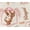 Delicate Ivory, variant on Barbie Girls Print Skater Dress with Short Sleeves, Sizes 4-12