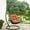 Orange, variant on Modway Arbor Outdoor Patio Wood Swing Chair in Red