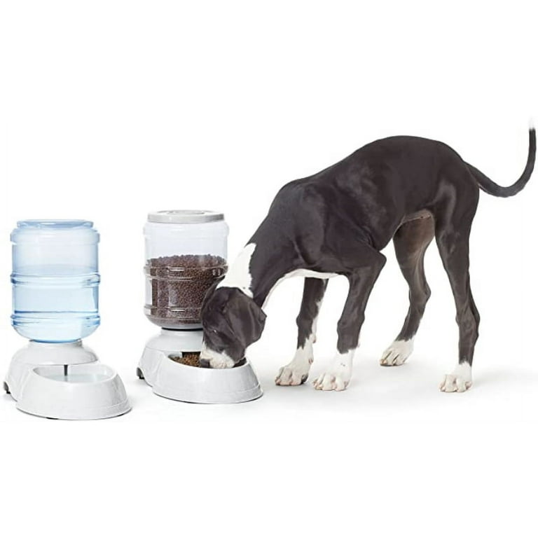 Basics Large Gravity Pet Food Feeder and Water Dispenser Bundle