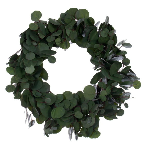 Vickerman 24" Artificial Green Silver Dollar Populus Eucalyptus Wreath