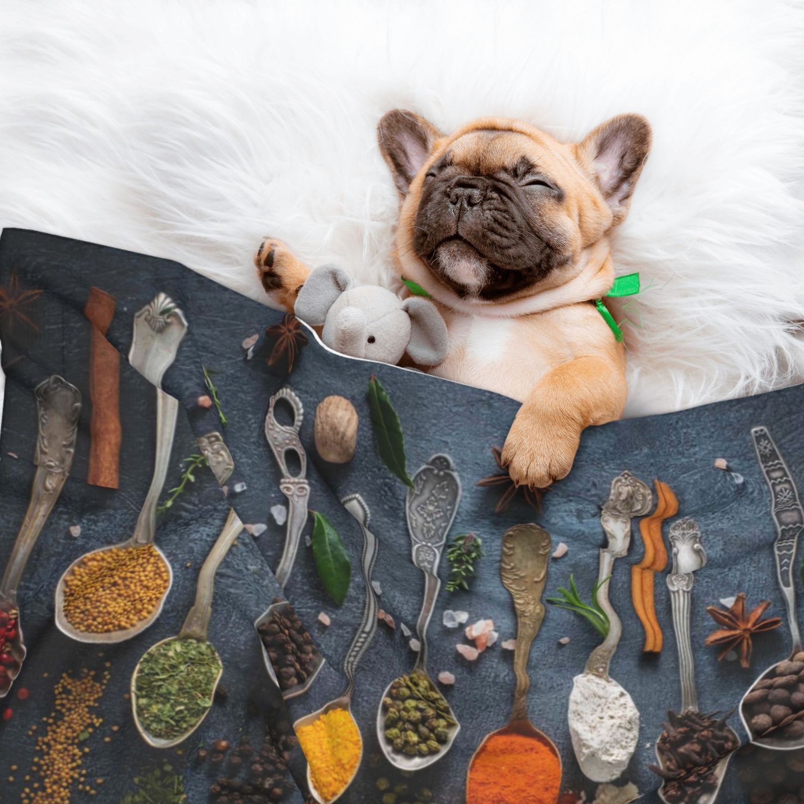 Naloa Various Herbs And Spices In Spoons Dog Blanket, 3 Sizes Cat Blanket for Indoor Cats Large Medium Small Dog Gifts-