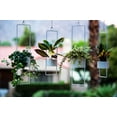 thumbnail image 5 of Hide & Seek Supply 4001 Upright Hanging Planter, White - Small, 5 of 5