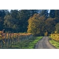 thumbnail image 2 of Rita Crane 24x17 Gallery Wrapped Canvas Wall Art Titled - After the Harvest I, 2 of 4