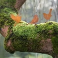 thumbnail image 6 of Bexikou 5 Pcs Metal Rusty Birds Art Decoration for Fence Decorations,Outdoor Metal Birds Craft Statue Ornaments,Garden Yard Art Ornaments,Rusty Birds Fence Art Outdoor and Garden, 6 of 8