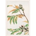 thumbnail image 2 of Morikaga, Megata 14x18 White Modern Wood Framed Museum Art Print Titled - Shi, 2 of 4