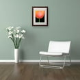 thumbnail image 3 of Trademark Fine Art "Orange Tulip" Canvas Art by Kathie McCurdy, Wood Frame, 3 of 3