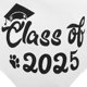 thumbnail image 3 of WASHWEPE 2Ud Bandana De Graduación Para Mascotas Transpirable Con Festivo Multicolor, 3 of 7