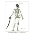 thumbnail image 3 of Schlabach, Sue 15x18 Black Modern Framed Museum Art Print Titled - Dandy Bones Pirate, 3 of 5