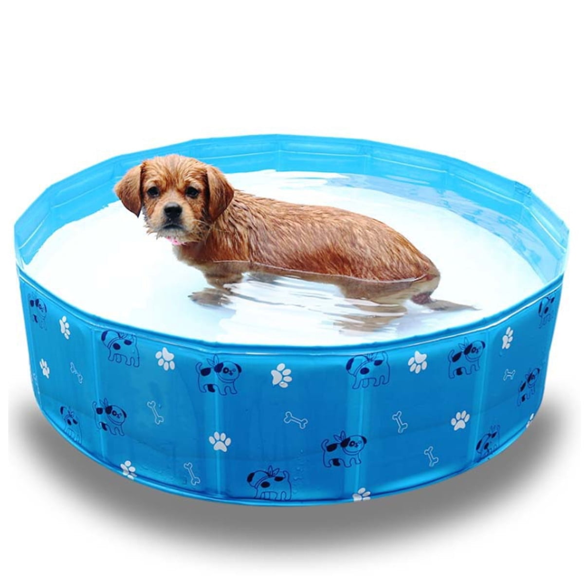 Portable Pet Dog Pool, Collapsible Bathing Tub, Indoor & Outdoor