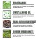 thumbnail image 3 of Green Tea Ice Cleansing Mask Deep Cleansing Tightening Pores Hydra, 3 of 5