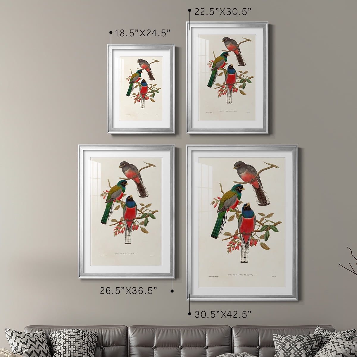 Wexford Home Elegant Trogons IX Premium Framed Print, 30.5" x 42.5" - Ready to Hang, Silver (Set of 2)