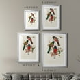 thumbnail image 4 of Wexford Home Elegant Trogons IX Premium Framed Print, 26.5" x 36.5" - Ready to Hang, Silver (Set of 2), 4 of 9