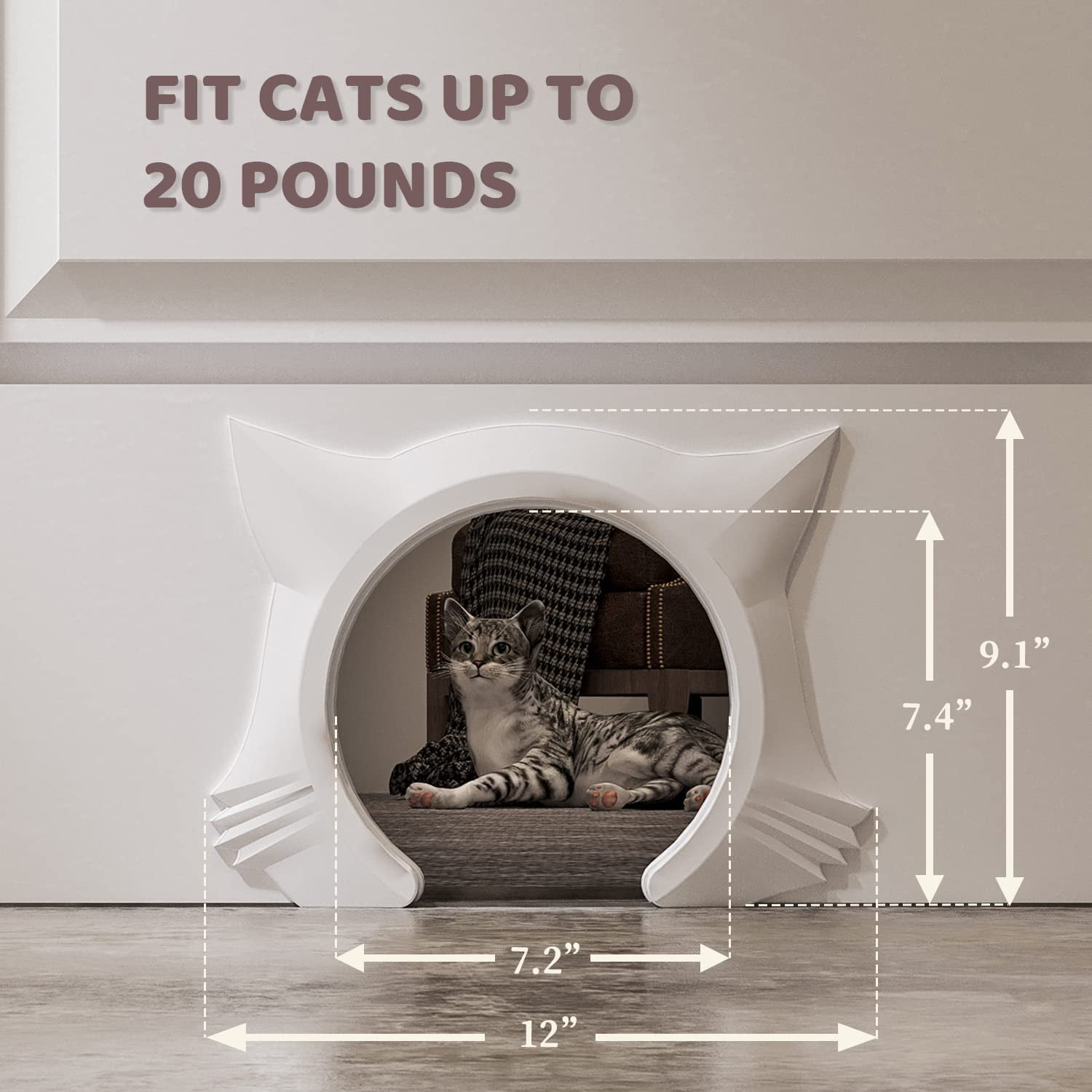 Cute cat door sale