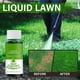 thumbnail image 5 of Nutritiousfor Grass Growingliquid, Rejuvenecimiento Líquido Spray Hierba Micronutrientes Booster Líquido Spray Soluciones 5PCS 60ml, 5 of 7