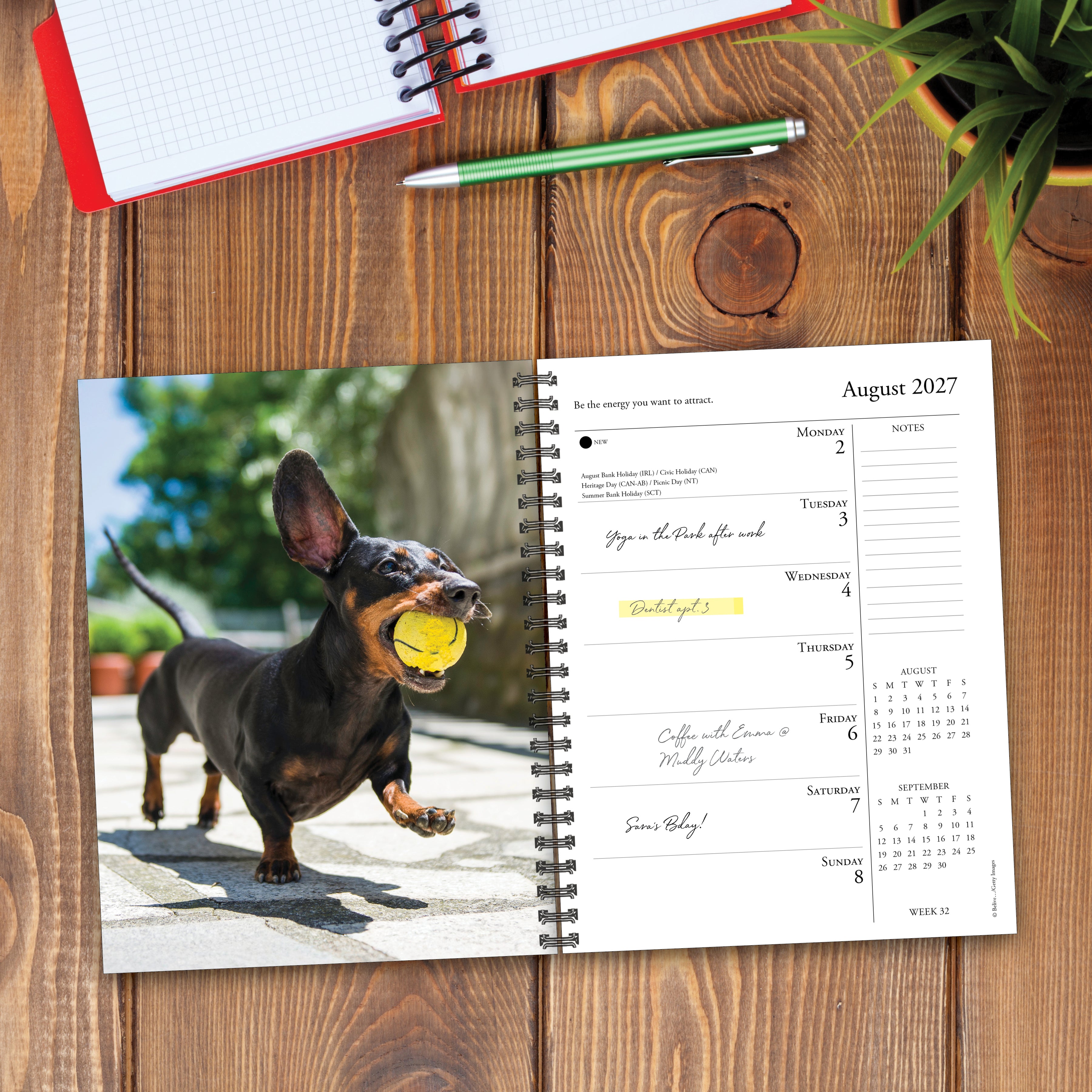 Willow Creek Press, What Dogs Teach Us 2027 Engagement Calendar