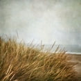 thumbnail image 2 of Poinski, Dianne 20x20 White Modern Wood Framed Museum Art Print Titled - Beach Grasses 4, 2 of 4