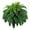 Green, variant on Nicoxijia 2.76" Artificial Boston Ferns Plant
