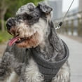 thumbnail image 3 of Chaleco de pecho con tracción en la espalda para mascotas, collar ajustable y cinturón para caminar de forma segura, juego de arnés y correa para perros XS, 3 of 8