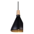 thumbnail image 2 of Luminario Colgante Individual De Campana Maxxi Negro, 2 of 2