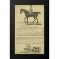 thumbnail image 2 of Unknown 16x24 Black Modern Framed Museum Art Print Titled - Horse Portraiture VI, 2 of 5