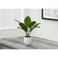 thumbnail image 3 of Artificial Plant - 17" Tall - Aureum - Indoor - Table - Potted - Green Leaves, 3 of 6