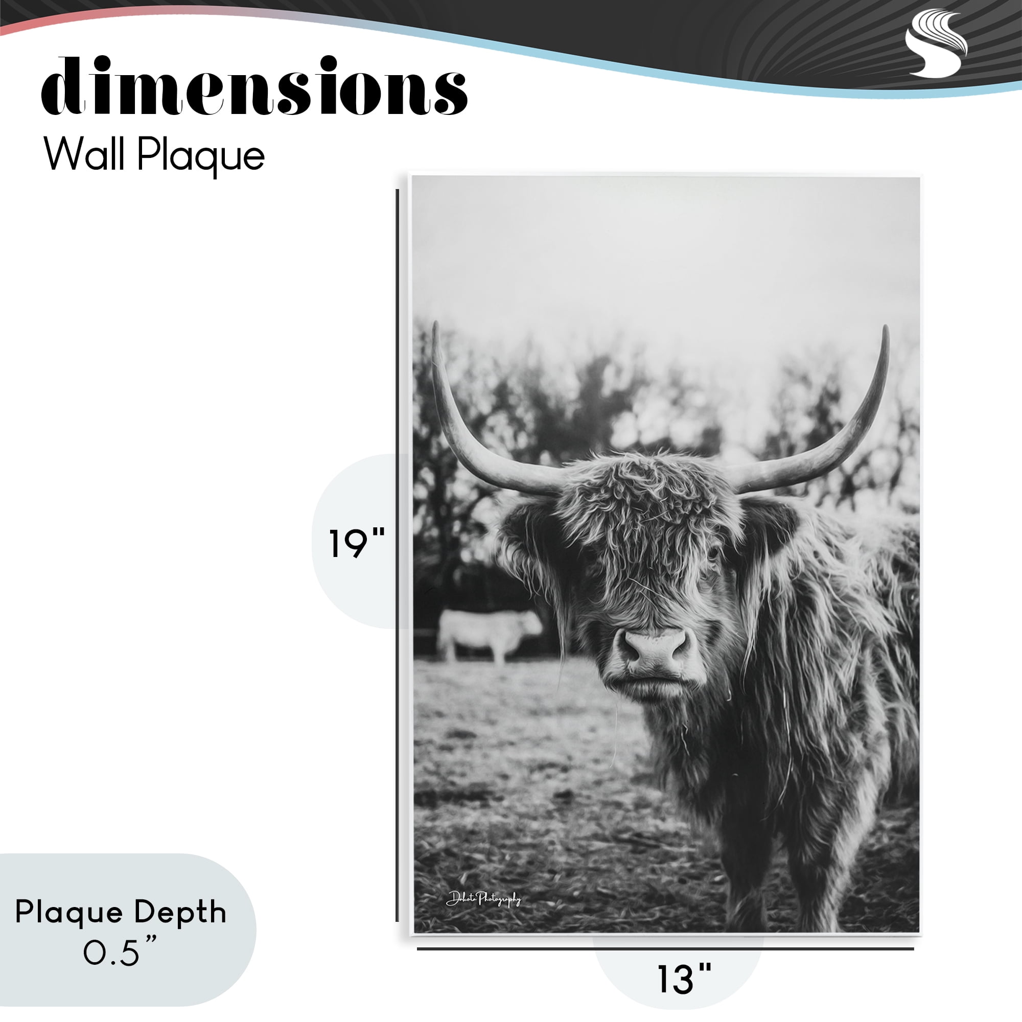 Stupell Industries Peering Highland Cattle Wall Plaque Art, design by Dakota Diener