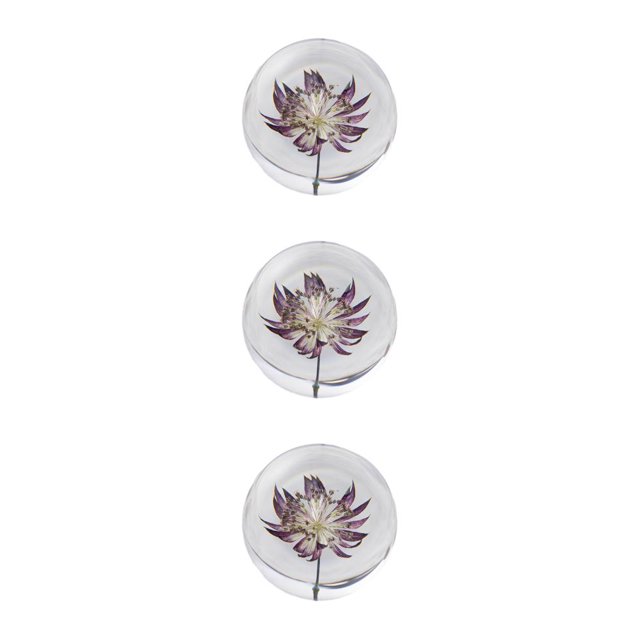 maskred Resin Crystal Ball Timeless Addition To Collection Crystal Ball With Flower Astrantia 8cm 3Set