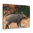 thumbnail image 2 of Majestic Boar Art Majestic Boar Print Animal Wall Art Wildlife Canvas Prints Wall Art Ready to Hang Unframed, 2 of 18
