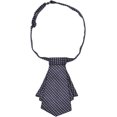 thumbnail image 1 of LinYooLi Reversible Bowknot Short Neck Ties Adjustable Pre-tied for Woman Business Uniform Bowtie Work Ceremony Accessories, 1 of 5