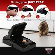 TwinTech Large Mouse Trap for Mice and Rats (6 Pack) - Durable Rat Traps - Reusable Mouse Traps - Hygienic Rodent Control - Traps Large Size for Rats - Mice Traps Indoor for Home and Outdoor