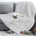 thumbnail image 2 of PetAmi Waterproof Dog Blanket For Medium Large Dog, Puppy Pet Blanket Couch Cover Protection, Sherpa Fleece Fuzzy Cat Blanket Throw, Couch Sofa Bed Furniture Protector Soft Reversible 40x60 Light Gray, 2 of 7