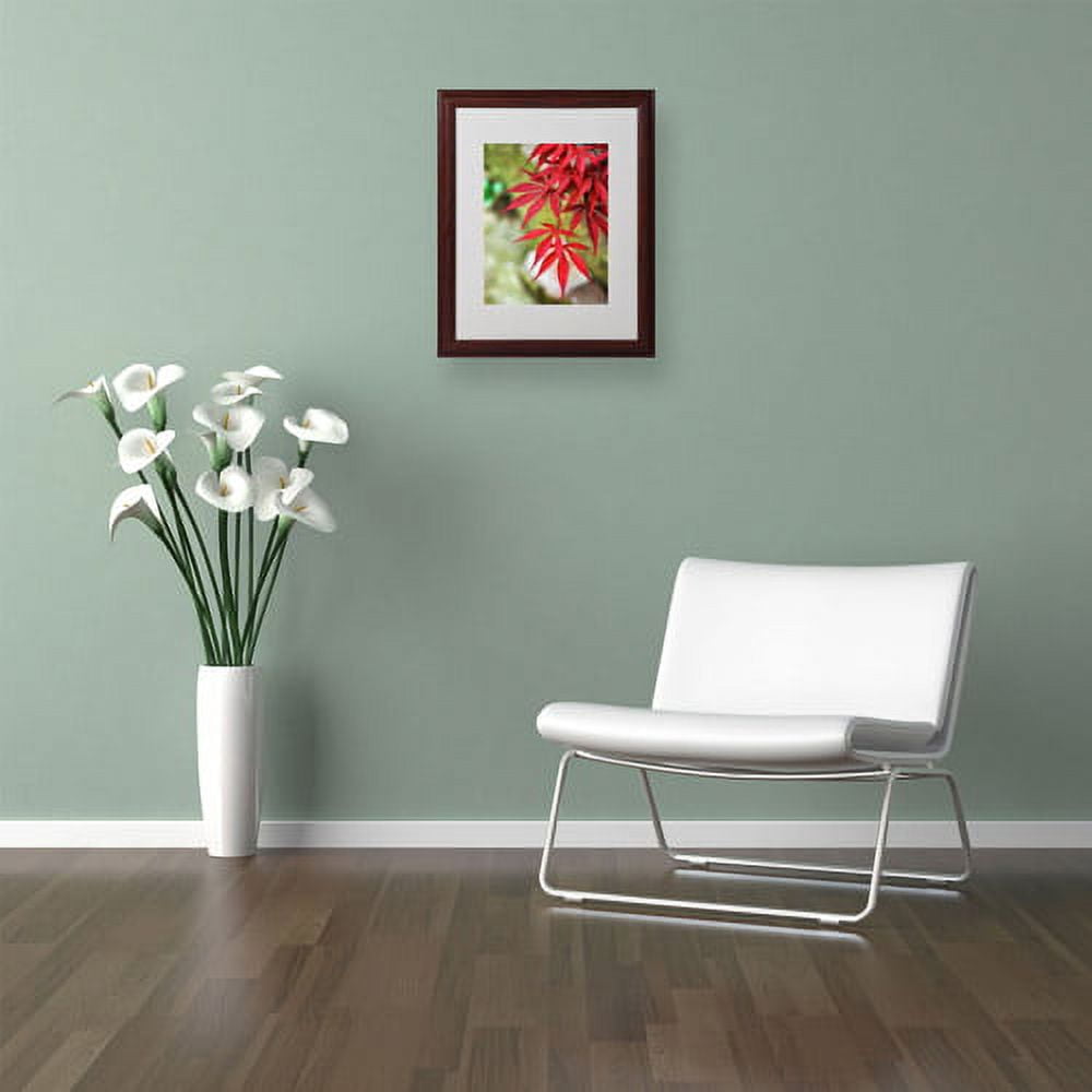 Trademark Fine Art "Japanese Maple" Canvas Art by Philippe Sainte-Laudy, Wood Frame