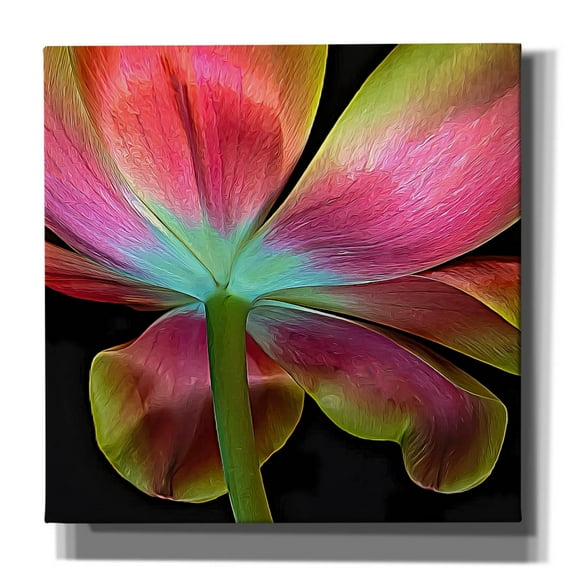 Epic Graffiti 'Guardian' by Pamela Plummer, Canvas Wall Art, 37"x37"