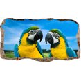 thumbnail image 3 of Startonight 3D Mural Wall Art Photo Decor Window Love and Marriage  Amazing Dual View Surprise Medium Wall Mural Wallpaper for Bedroom Kids Collection Wall Paper Art 47.24 By 86.61 inch, 3 of 4