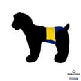 thumbnail image 4 of Barkertime Daffodil Delight on Blue Dog Diaper, 4 of 6