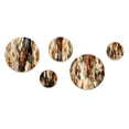 thumbnail image 3 of Designart "Elegance In Rustic Brocade III" Floral Round Wall Art Set Of 5 - Brown Cottage Living Room Wall Metal Art Set, 3 of 6