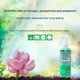 thumbnail image 3 of 300ml Nutrient for Promoting Succulent Germination and Growth, 3 of 5