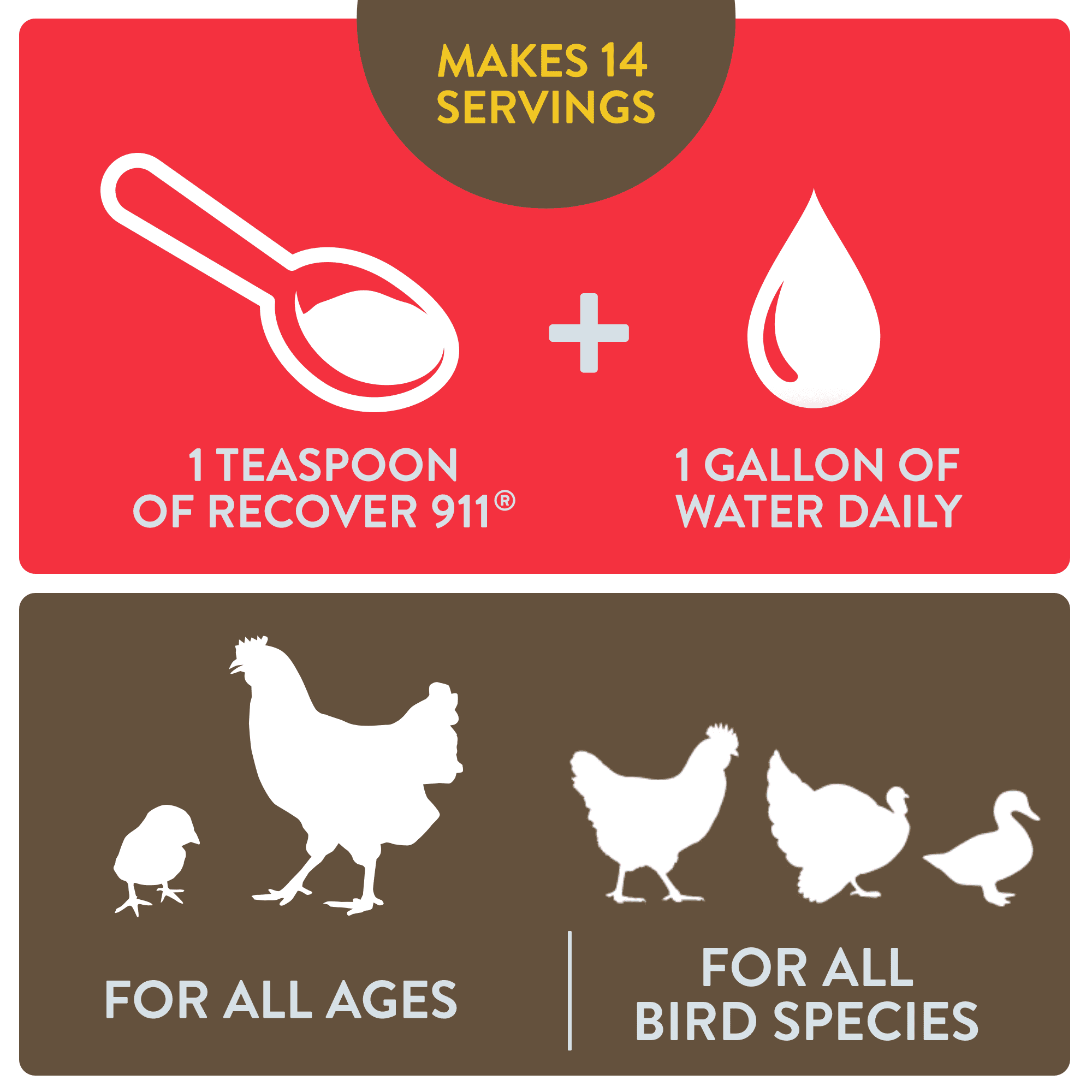 FlockLeader Recover 911 Poultry Supplement for Chickens, 2.5 Ounce