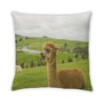 thumbnail image 2 of Ahgly Company Animals Llama Oreiller Extérieur 18 Pouces par 18 Pouces, 2 of 6