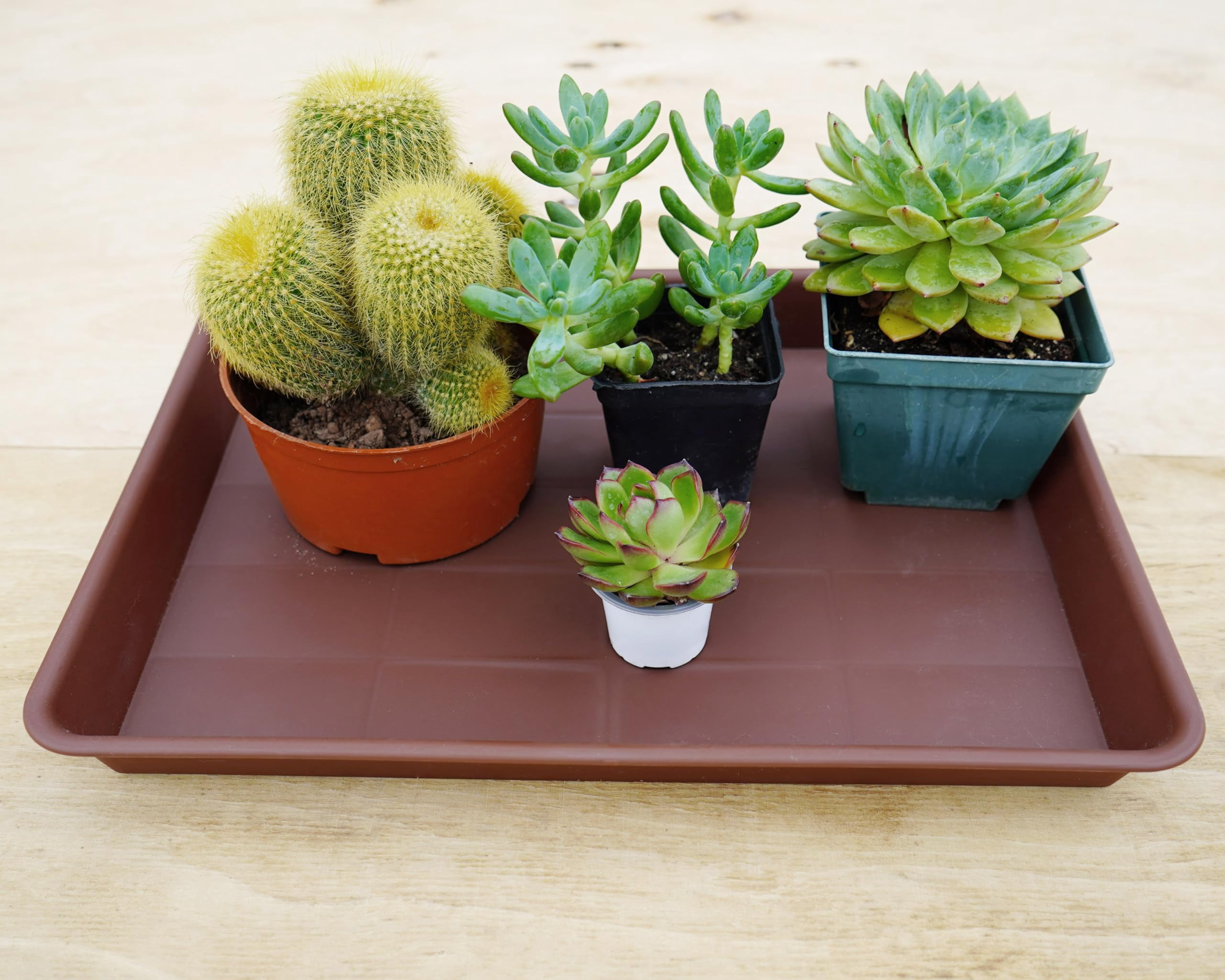 Plant Saucer Growing Tray Set 2-Pack 11x9 Inch Heavy Duty Plastic Seed Starter Trays with Drainage for Indoor Outdoor Pots Gardening Supplies