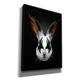 thumbnail image 2 of Epic Graffiti 'Rabbit Rocks' by Robert Farkas, Giclee Canvas Wall Art, 40"x54", 2 of 8
