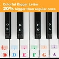 thumbnail image 2 of UDIYO 37/49/54/61/88 Key Transparent Detachable Music Decal Piano Keyboard Sticker, 2 of 5