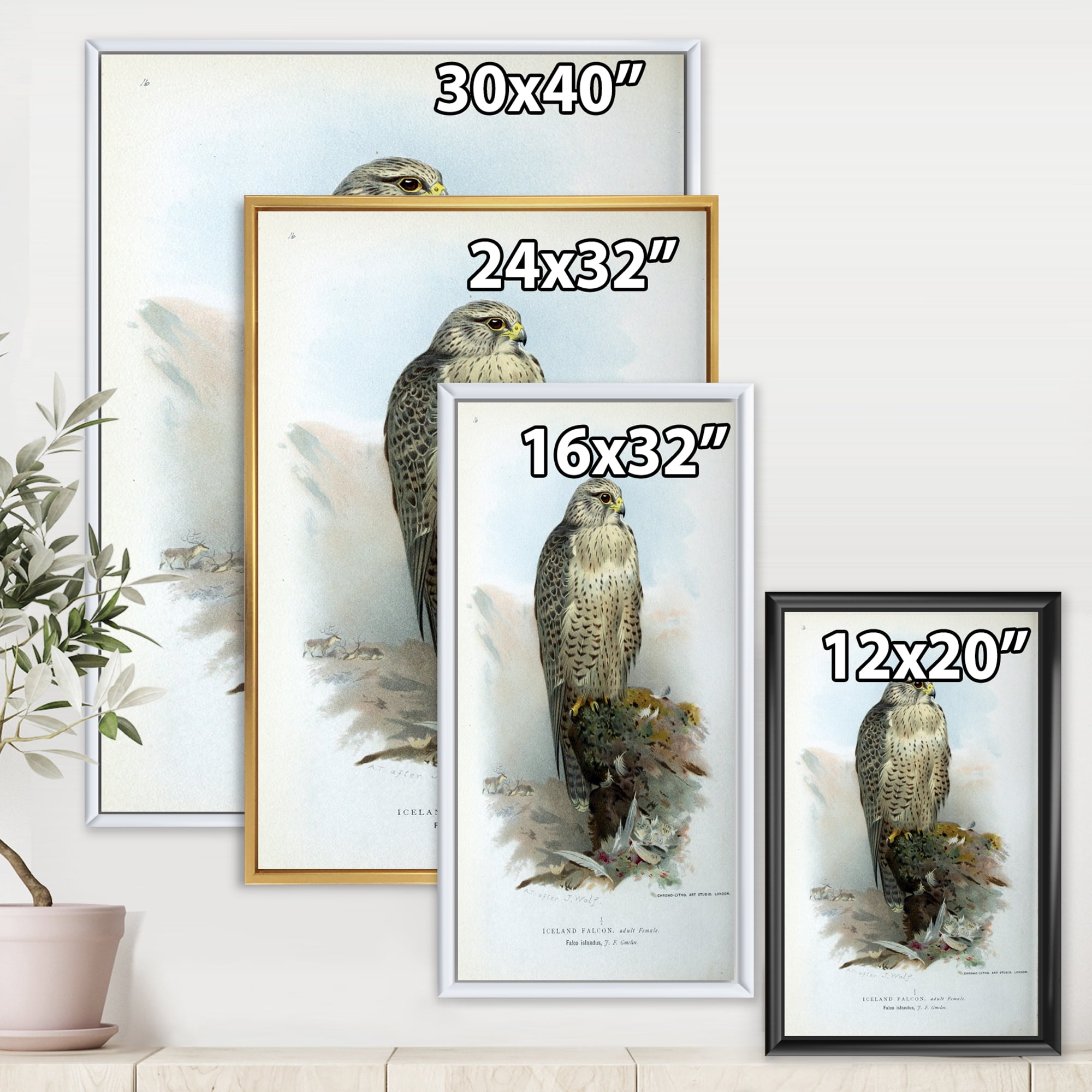 Designart 'Ancient Bird Life V' Traditional Framed Canvas Wall Art Print