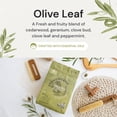 thumbnail image 4 of Detergente en cápsulas Grab Green Stoneworks Olive Leaf, 50 unidades, 4 of 7