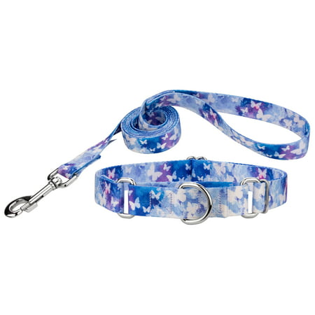 Country Brook Petz® Watercolor Butterflies Martingale Dog Collar &