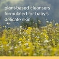 thumbnail image 4 of Burt's Bees Baby Shampoo & Wash, Fragrance Free & Tear Free, 21 fl oz, 4 of 13