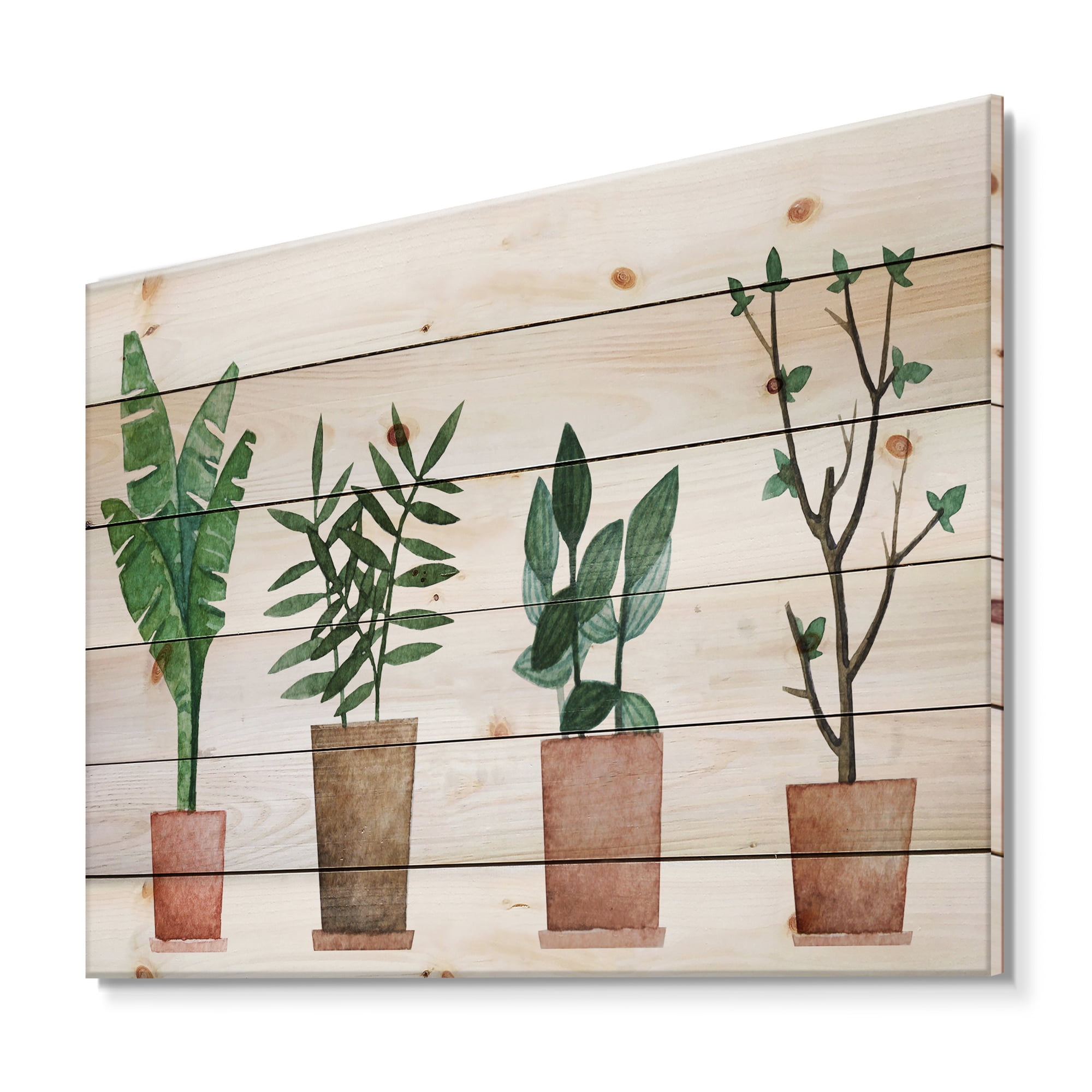 Designart 'Duo of Potted Flowers House Plants In Claypots' Farmhouse Print on Natural Pine Wood